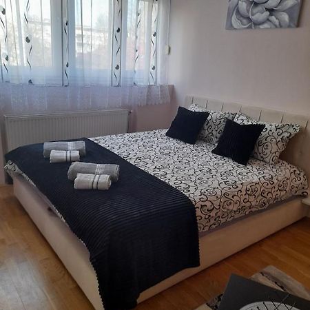 Apartman Aurora ノヴィ・サド エクステリア 写真
