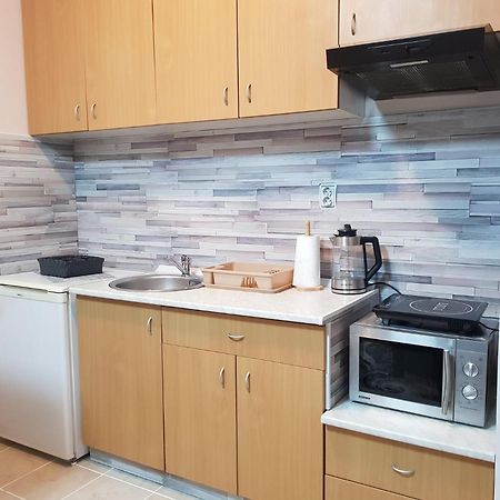 Apartman Aurora ノヴィ・サド エクステリア 写真