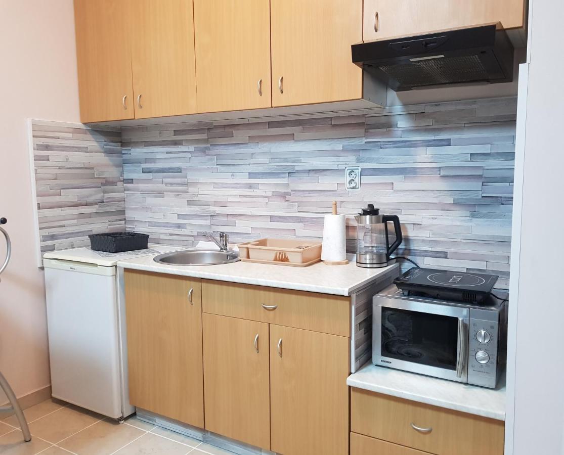 Apartman Aurora ノヴィ・サド エクステリア 写真