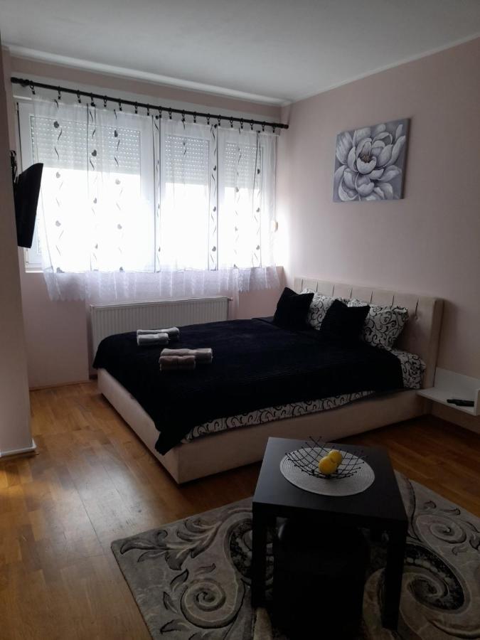Apartman Aurora ノヴィ・サド エクステリア 写真